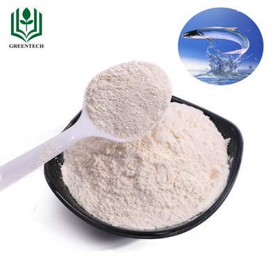 Shark Cartilage Shark Chondroitin Powder Sulfate Sodium Untuk Kesehatan Tulang