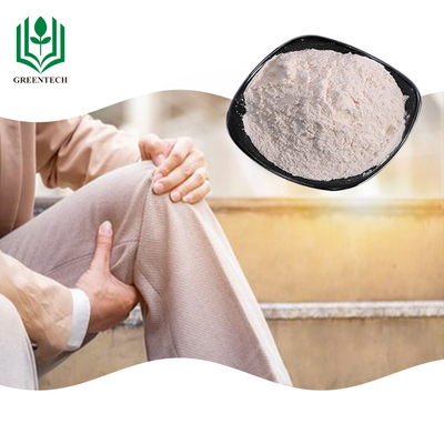 Shark Cartilage Chondroitin Sulfate Supplement Off White Powder Untuk Psoriasis
