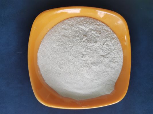 Pemasok Profesional Kelas USP43 Bovine Chondroitin Sulfate Untuk Kesehatan Sendi